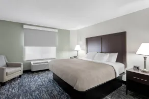 Quality Inn & Suites Niles - Room