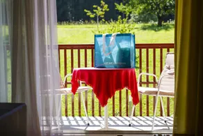 Seehotel Vinzenz - Vue de la chambre