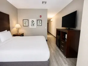 Country Inn & Suites by Radisson, Pensacola West, FL - Room