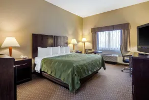 Quality Inn Smyrna - Habitación