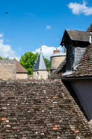 Hôtel Abbaye de Maizieres Beaune - Vue de la chambre