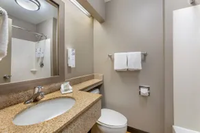Red Roof Inn Erie – I-90 - Bathroom