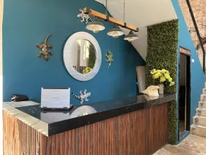 Bahia Tolok - Réception