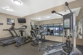 Best Western Plus McDonough Inn & Suites - Salle de remise en forme