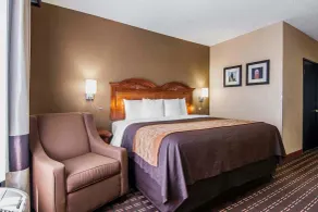 Quality Inn & Suites I-35 E-Walnut Hill - Room
