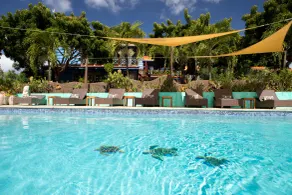 True Blue Bay Resort - View from room