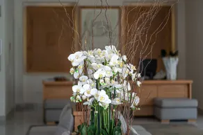 Nissaki Boutique Hotel - Réception