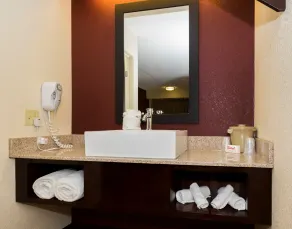 Red Roof Inn PLUS+ Columbus - Dublin - Bathroom