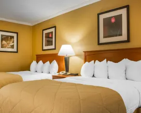 Clarion Hotel & Suites Riverfront - Chambre