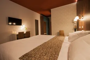 ECO Hotel Center Postojna - Værelse