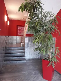 Ricks City Hotel - Interior entrance