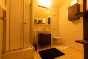 Appartements in Graz beim LKH - Badeværelse
