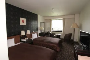 Hotel Green Hill Kagoshima - Habitación