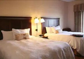 Hampton Inn By Hilton Napanee - Chambre