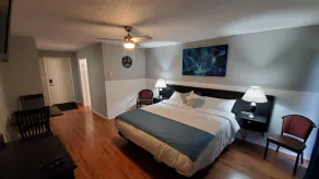 Celadon Lodge - Chambre
