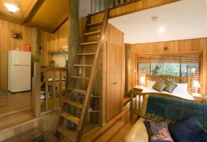 Springbrook Lyrebird Retreat - Zimmer
