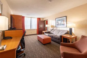 Drury Inn and Suites St Louis Union Station - Chambre