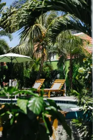 Pietermaai Oasis - Pool