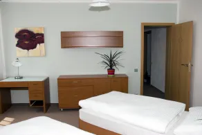 Hotel Ostrov Garni - Habitación