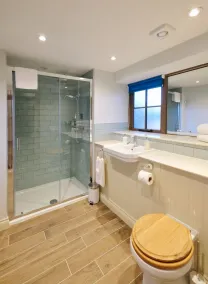 Greyhound - Baño
