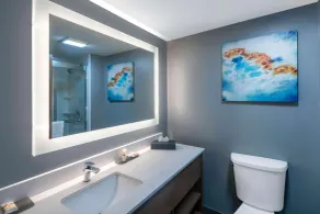 La Quinta Inn & Suites by Wyndham-Albany GA - Salle de bain