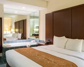 Comfort Suites Cumming-Atlanta near Northside Hospital Forsyth - Chambre