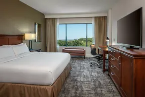 Hilton Greenville - Chambre