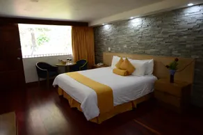 Hotel Faranda Bambito Chiriquí, a member of Radisson Individuals - Room