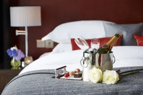 Ice House Hotel - Habitación