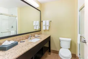La Quinta by Wyndham Carlsbad - Salle de bain