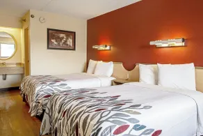 Red Roof Inn Jacksonville - Orange Park - Værelse