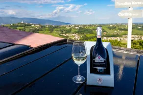 Villa del Poggio Prosecco Bike Hotel - Udsigt fra værelset