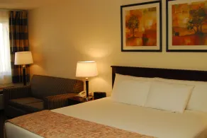 Ramada by Wyndham Bettendorf - Chambre