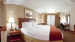 Holiday Inn Express Hotel & Suites Sheldon by IHG - Værelse