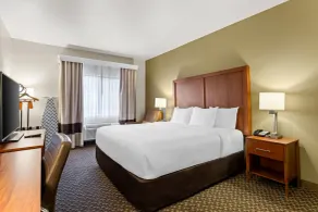 Comfort Inn & Suites Midtown - Rum