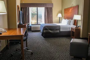 Wingate by Wyndham Little Rock - Chambre