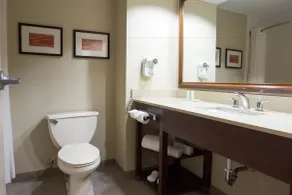 Comfort Suites Sulphur-Lake Charles - Salle de bain