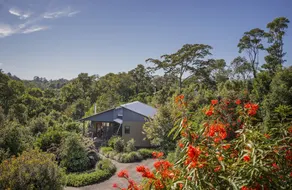 Spicers Tamarind Retreat - Ausblick vom Zimmer