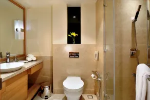 Golden Sarovar Portico - Bathroom