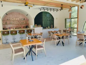 Lina Suit - Restaurant