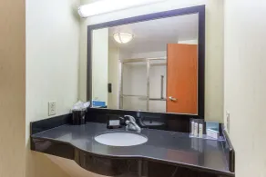 Hampton Inn Richmond - South - Bathroom