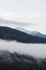 Hostellerie du Petit Saint Bernard - Vue de la chambre