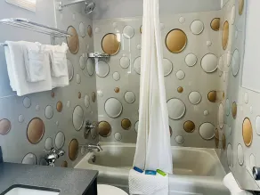 Executive Inn Owatonna Hwy 35 - Bathroom