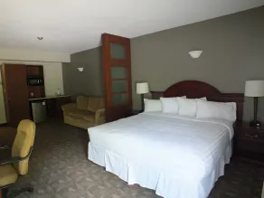 Rodeway Inn - Chambre