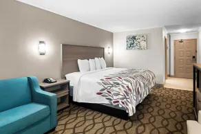 Red Roof Inn & Suites Lexington - Hamburg - Værelse