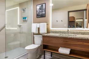 Drury Plaza Hotel Nashville Southeast Century Farms - Bathroom