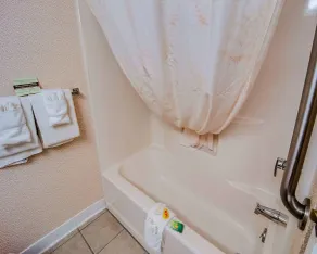 Comfort Inn Lexington Virginia Horse Center - Bathroom
