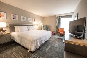 Hilton Garden Inn - Asheville South - Chambre