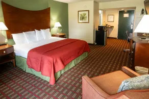 Select Inn Murfreesboro - Chambre