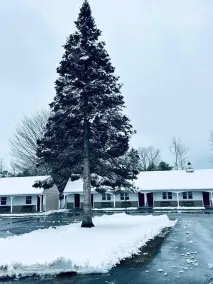 Stonybrook Motel & Lodge - Vue de la chambre